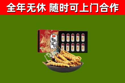 平顶山烟酒回收冬虫夏草礼盒.jpg